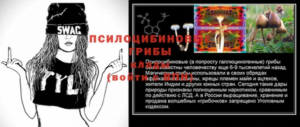 герыч Анива
