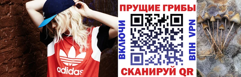 Псилоцибиновые грибы MAGIC MUSHROOMS  Лермонтов 